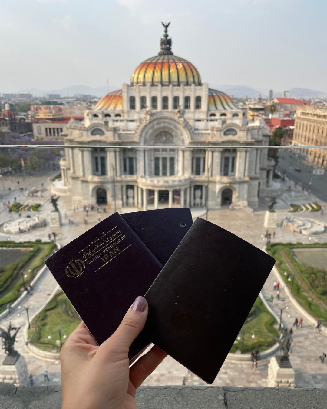 Lis Experiencia (1)