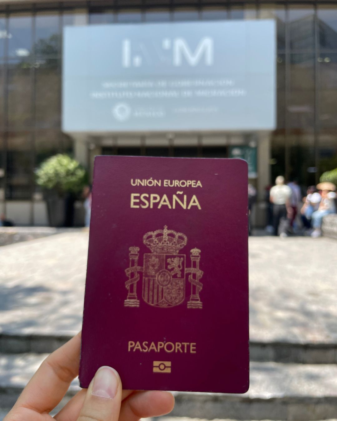 Lis Experiencia (21)