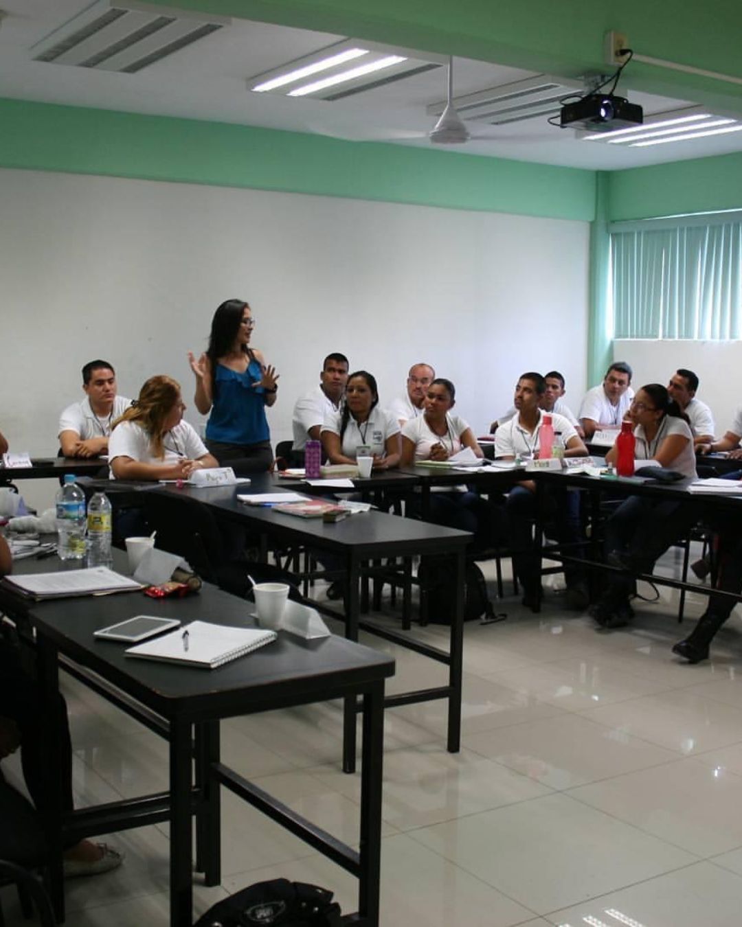 Lis Experiencia (7)